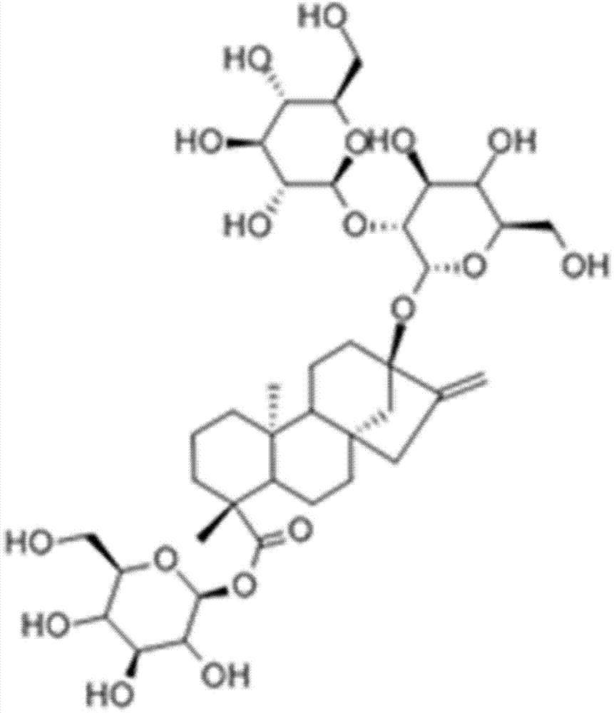 Sweet tea seed oil containing stevioside natural antioxidants