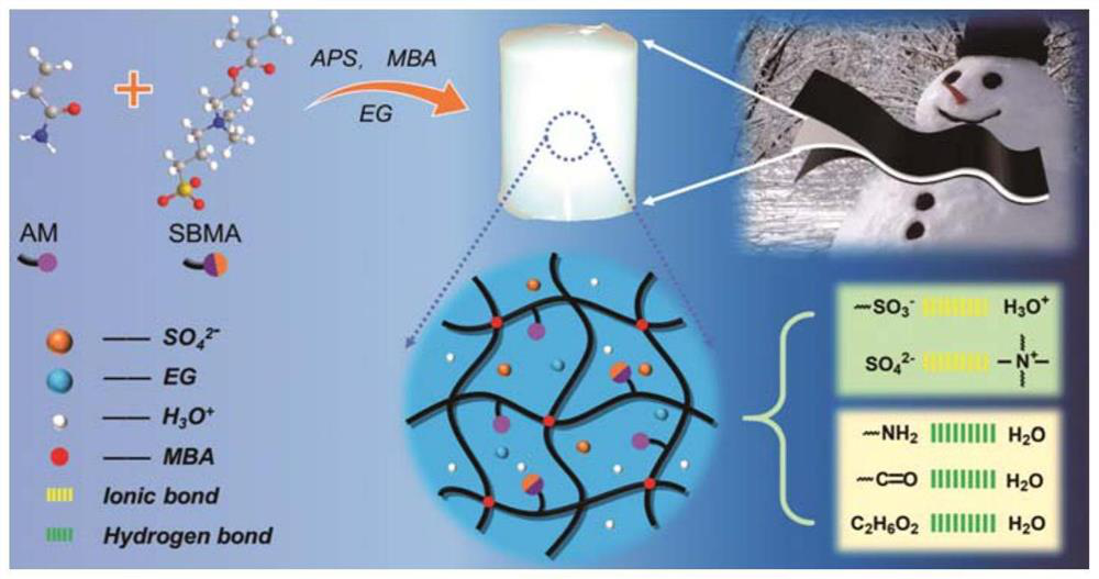 Antifreeze zwitterionic hydrogel electrolyte based on ion transition and Grotthuss transmission mechanism