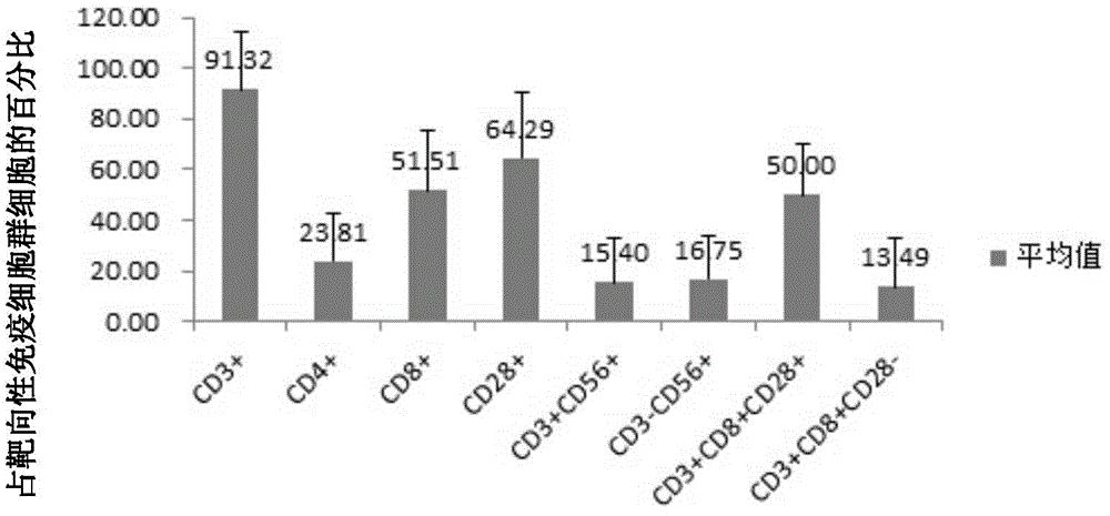 DC cell based on SCC antigen, targeting immune cell population, preparation method and applications thereof