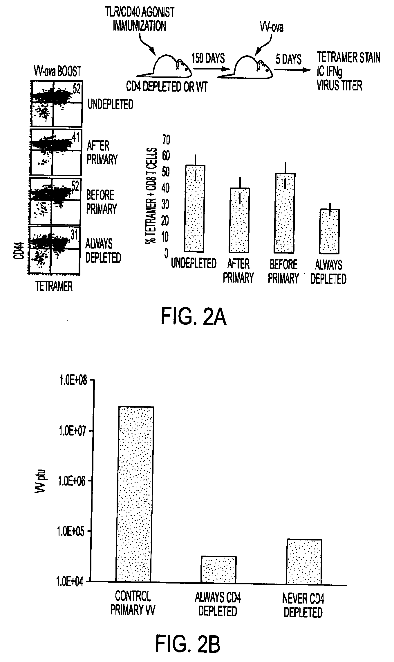 Tlr agonist (flagellin)/cd40 agonist/antigen protein and DNA conjugates and use thereof for inducing synergistic enhancement in immunity