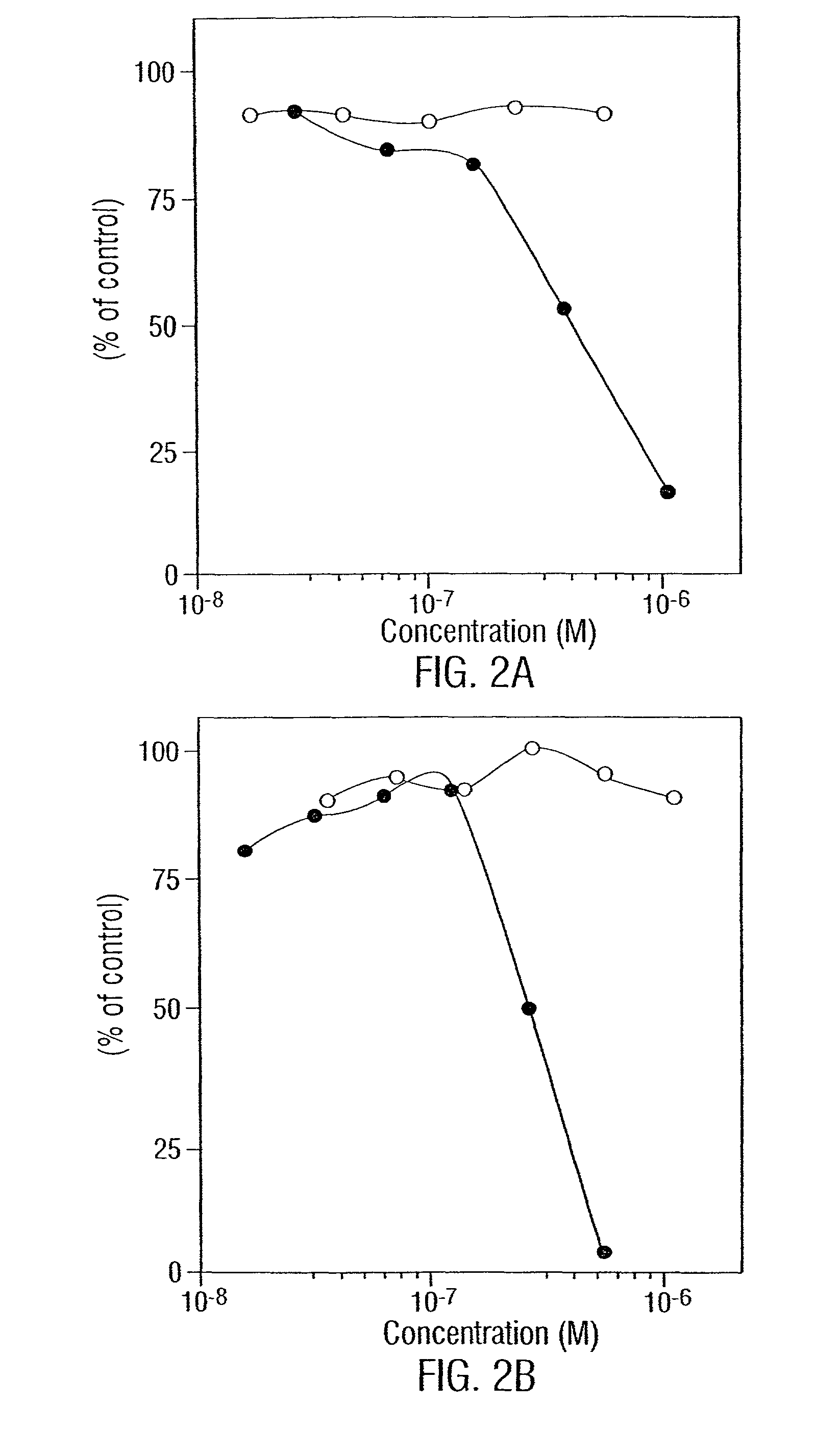 Compositions and methods for homoconjugates of antibodies which induce growth arrest of apoptosis of tumor cells