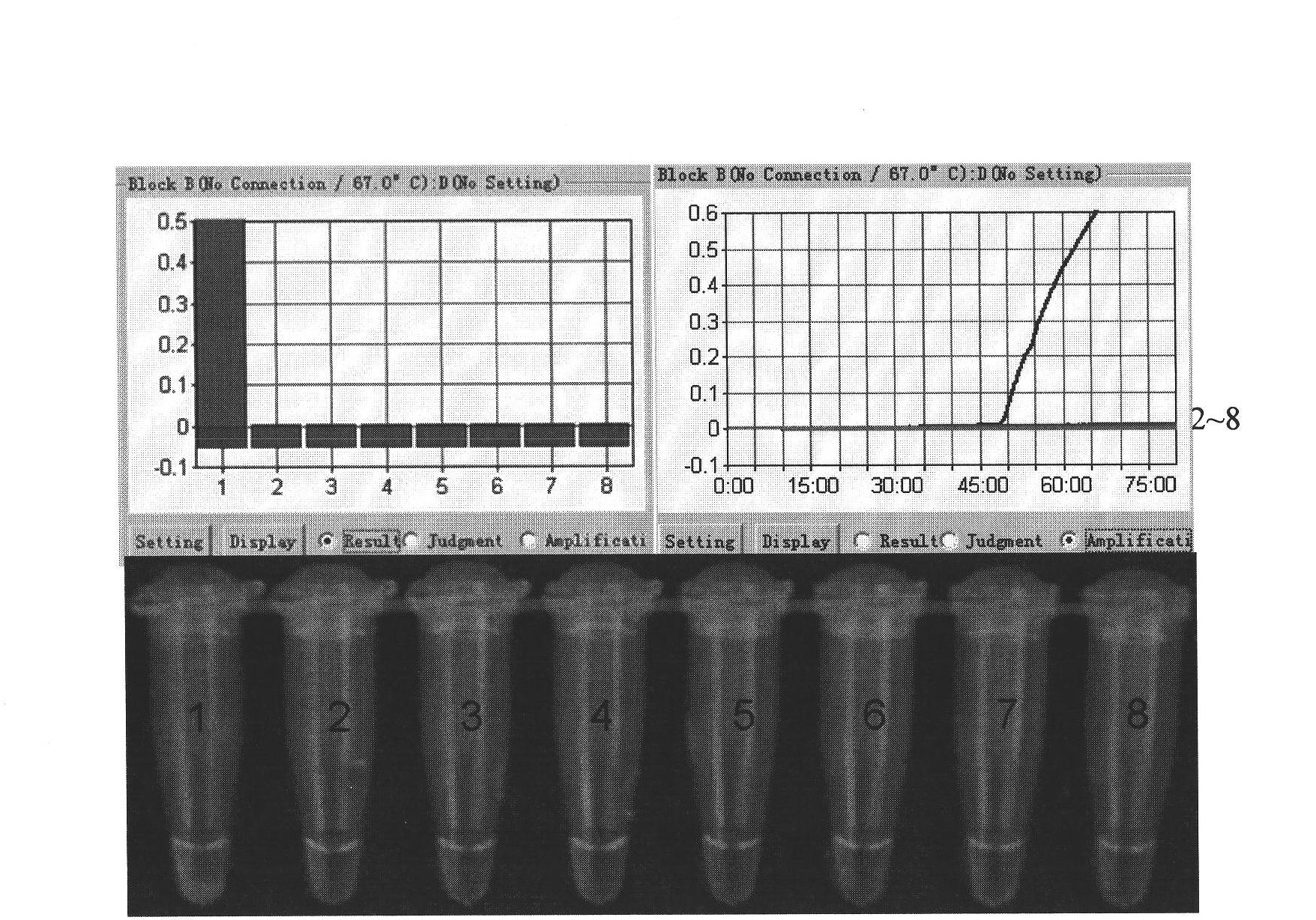 Loop-mediated isothermal amplification reaction primer for detecting B substock avian leukosis