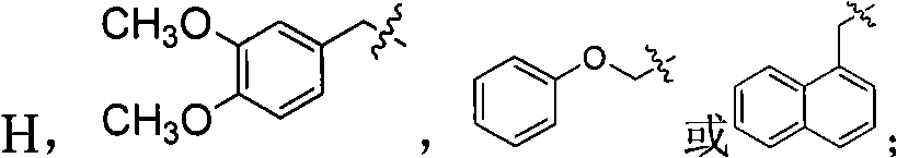 Tetrahydroisoquinoline derivatives and preparation method and application thereof