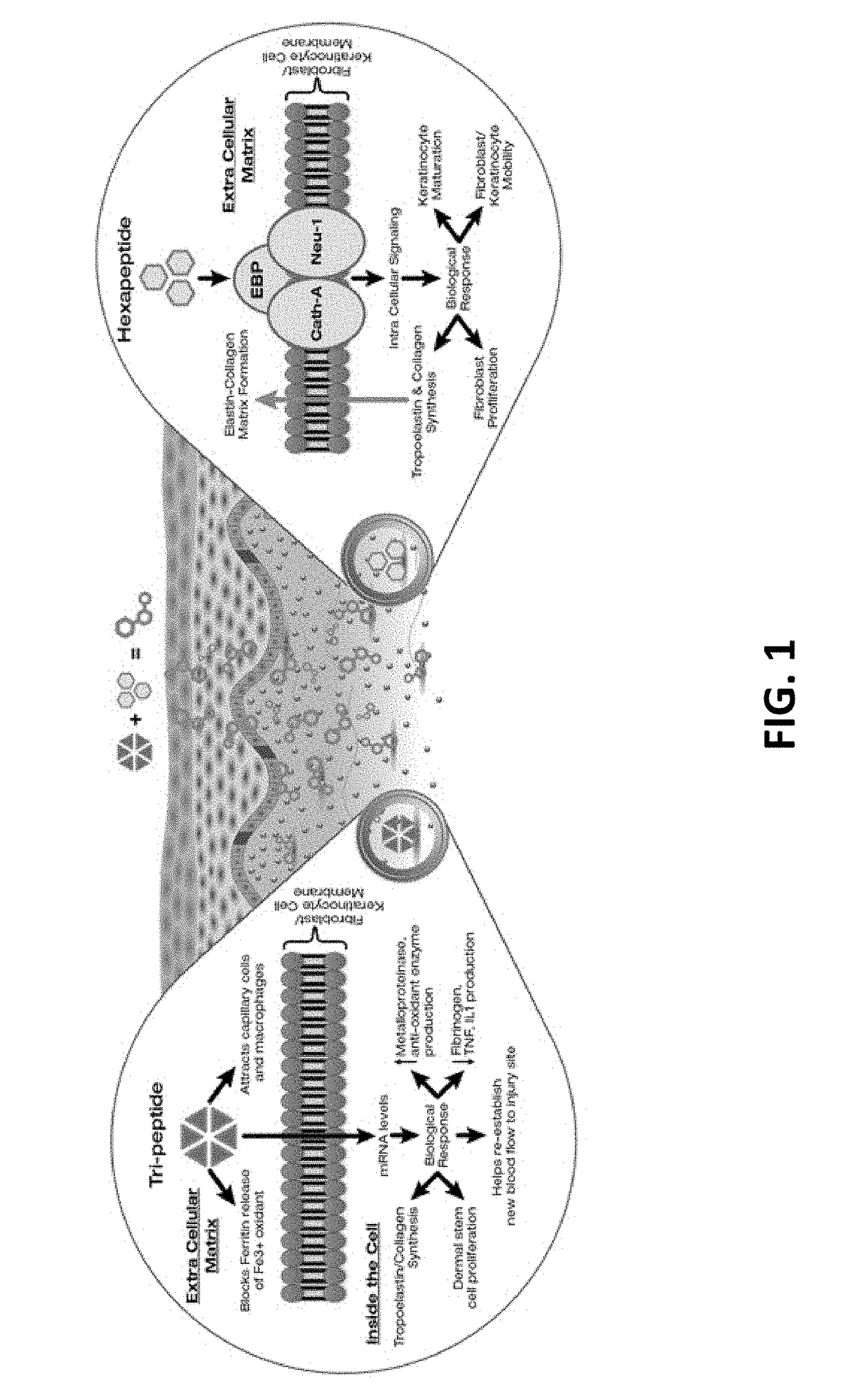 Compositions and methods for invasive and non-invasive procedural skincare