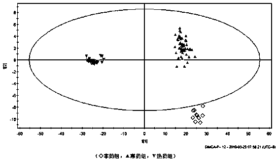 Metabonomics-based traditional Chinese medicine four-property discrimination method