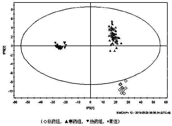 Metabonomics-based traditional Chinese medicine four-property discrimination method