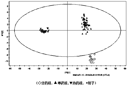 Metabonomics-based traditional Chinese medicine four-property discrimination method