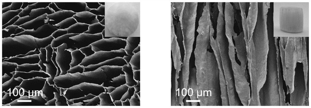 Shape memory type composite aerogel for inhibiting biological fouling as well as preparation method and application of shape memory type composite aerogel