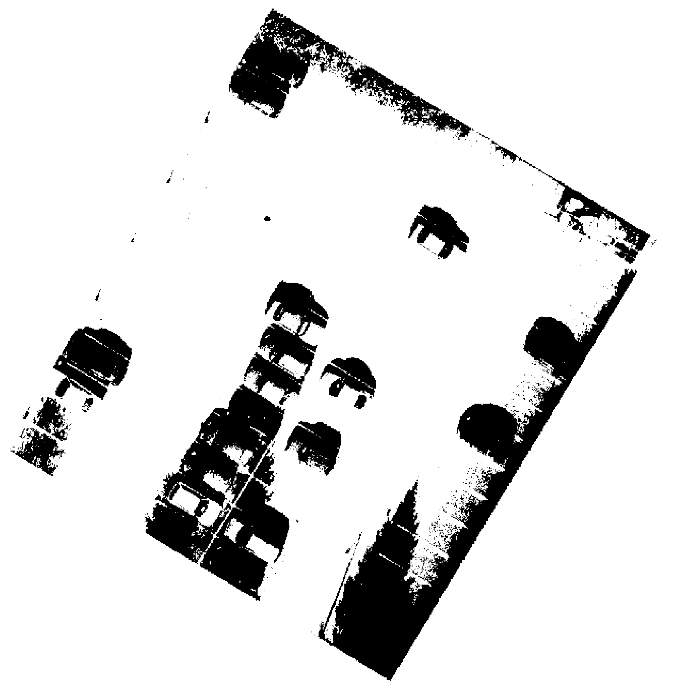 Park structure extraction method based on LiDAR data and ortho-images