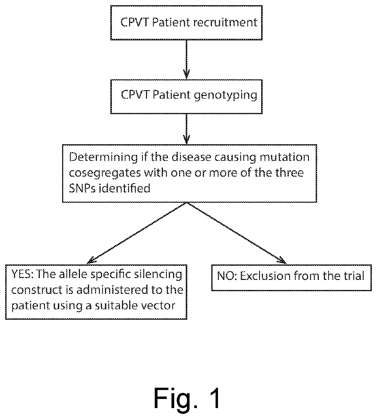 Method of allele specific silencing for the treatment of autosomal dominant catecholaminergic polymorphic ventricular tachycardia (CPVT)