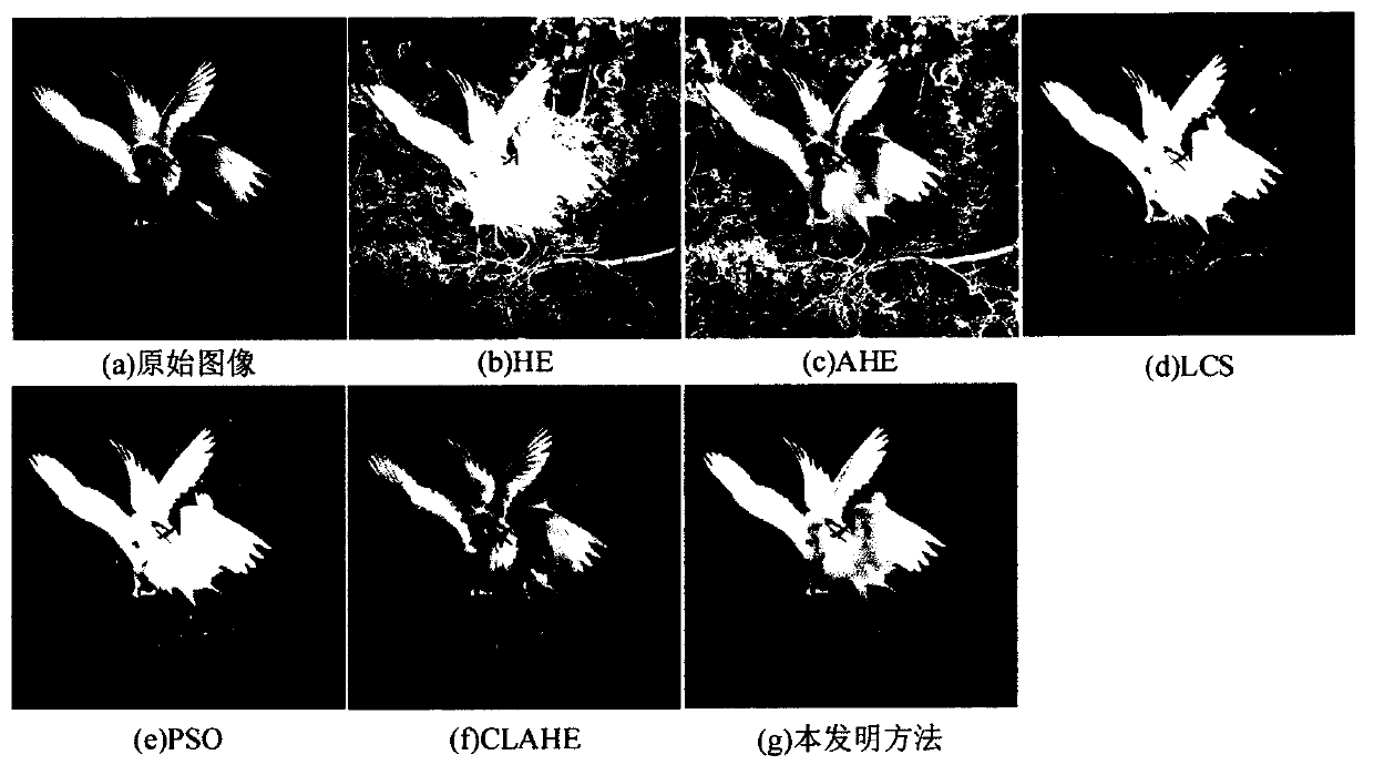 Global self-adaptive grayscale image enhancement method based on double gamma correction