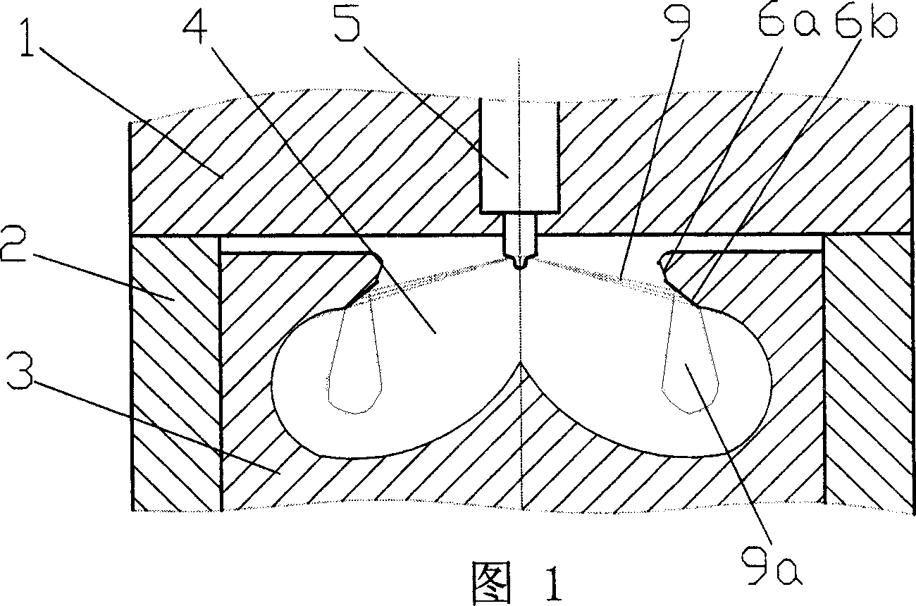 Diffusing and spraying combustion system of IC engine