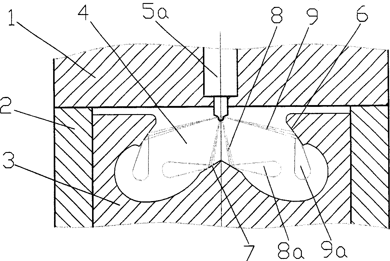 Diffusing and spraying combustion system of IC engine