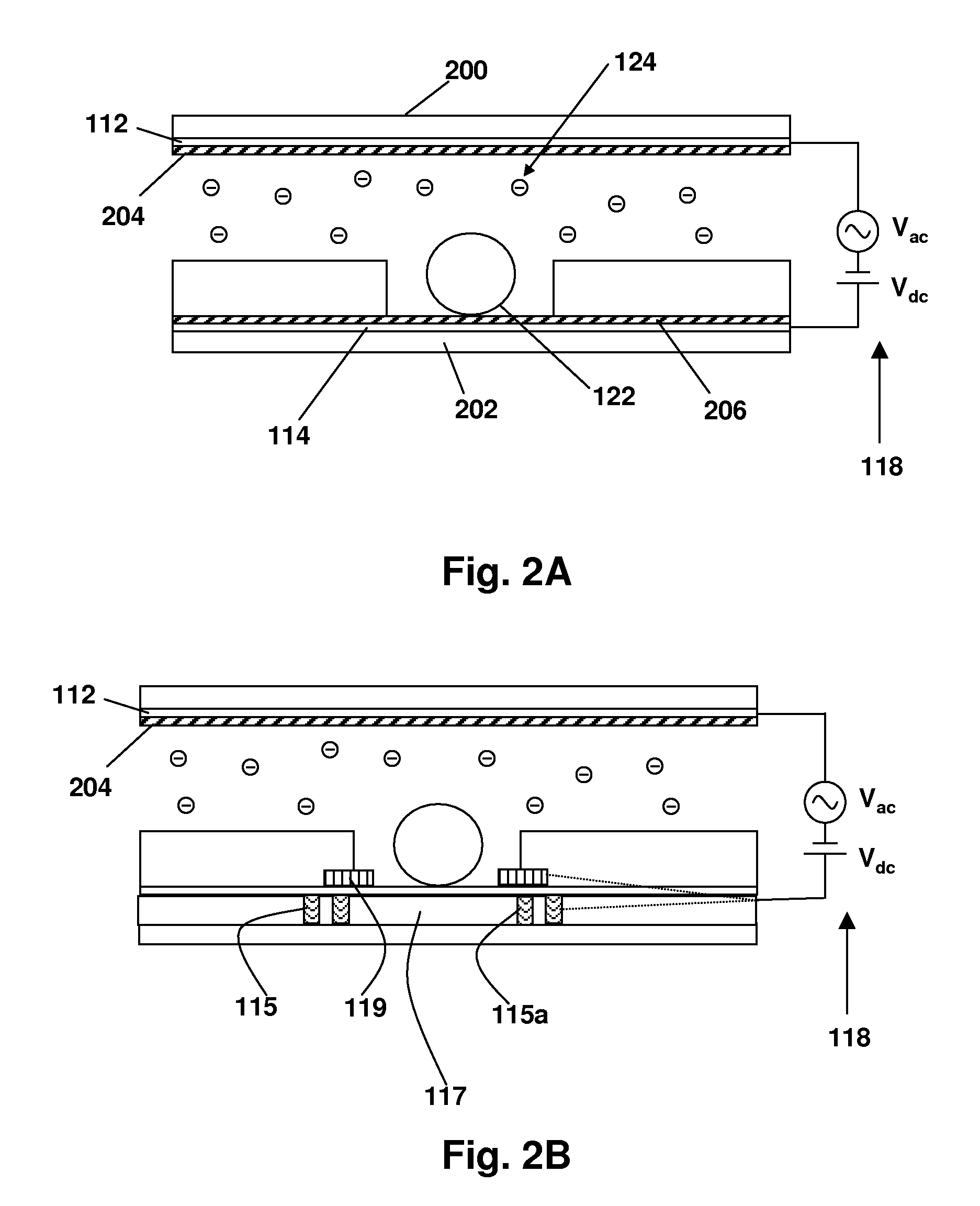 Method and Apparatus Using Electric Field for Improved Biological Assays