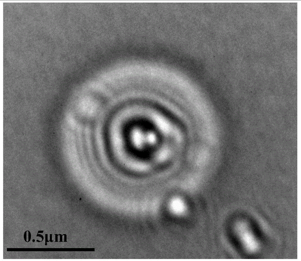 A kind of multilayer hollow casein-based submicron composite microcapsule and its preparation method