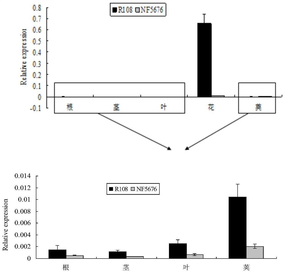 Application of a Myb-like transcription factor mtmyb1 from Medicago truncatula