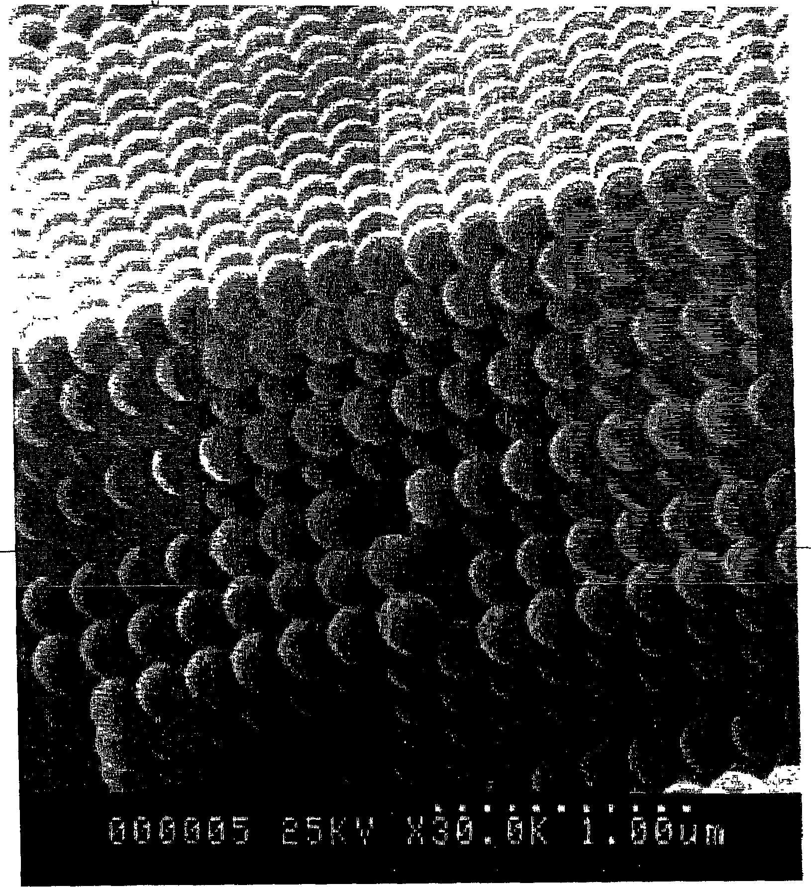 Fluid colloid crystal and process for producing three-dimensional aligned particle mass thereof