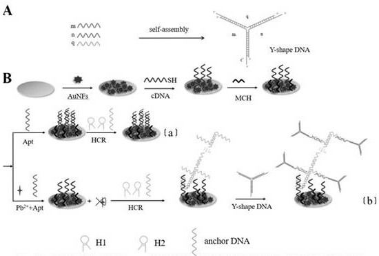 Impedance type aptamer sensor for detecting lead ions based on gold nanomaterial and dendritic DNA nanostructure