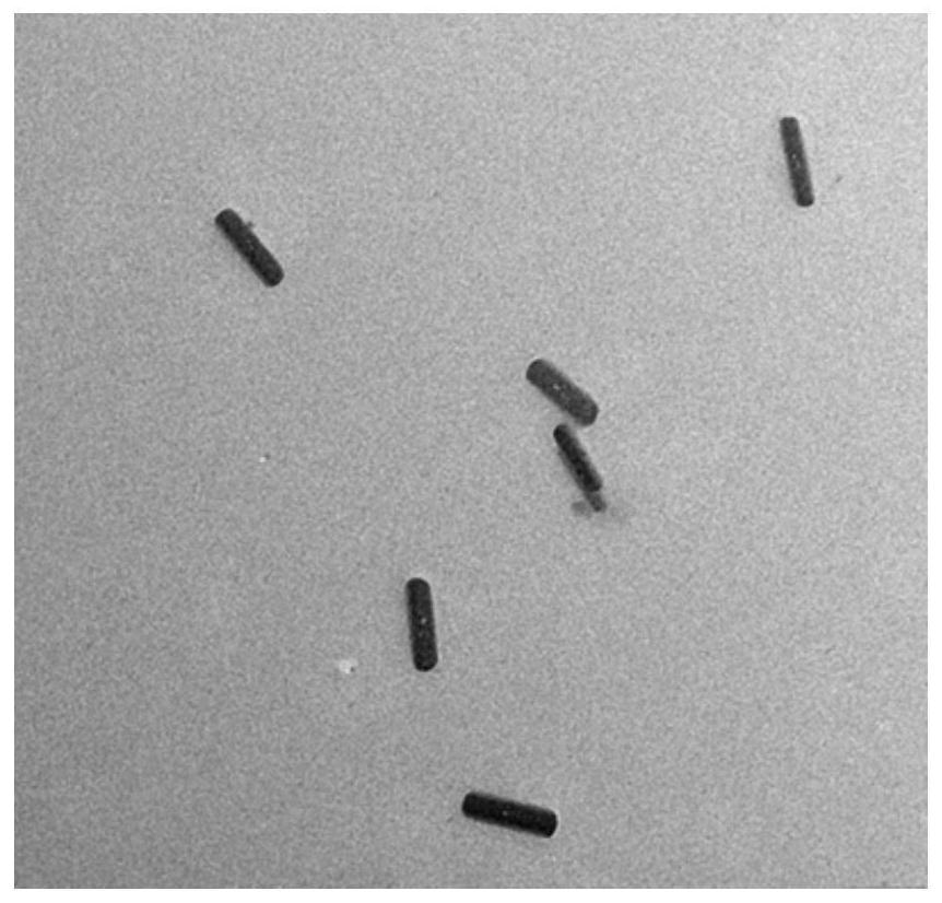 Preparation method and application of a fluorescent sensor for detecting ochratoxin a