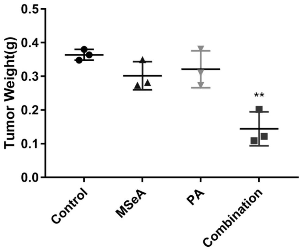 New application of palmitic acid as methylselenic acid anti-hepatoma sensitizer