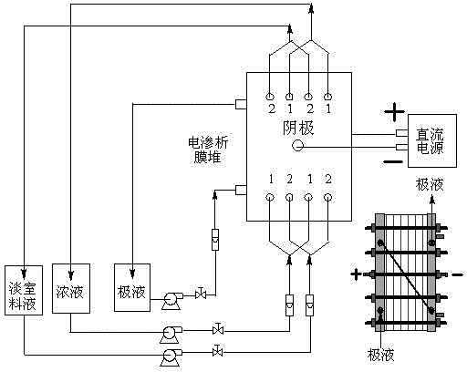 Method for preparing tetrahydrofuran by using succinic acid fermentation broth