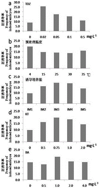 A method for obtaining regenerated cucumber plants by inducing gynogenesis through culture of unfertilized ovules