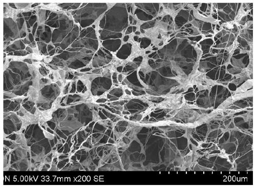 An exosome-targeted slow-release microsphere bioscaffold and its preparation method and application