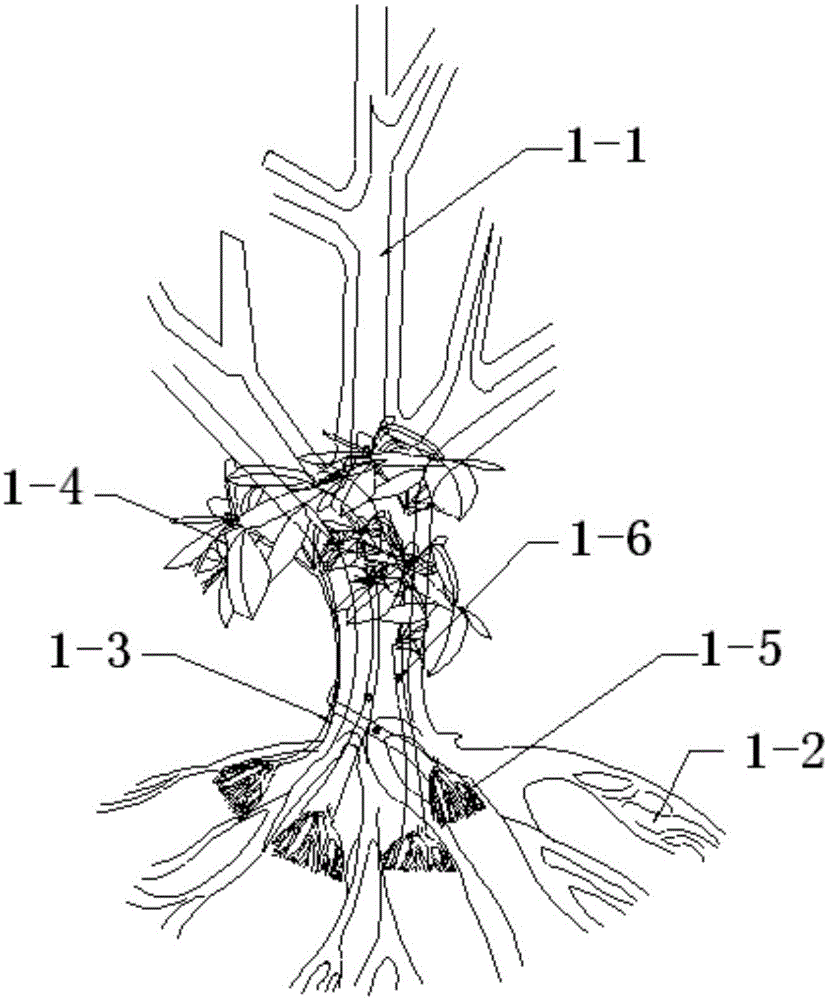 A modeling method to realize the stump of alpine rhododendron with many flowers