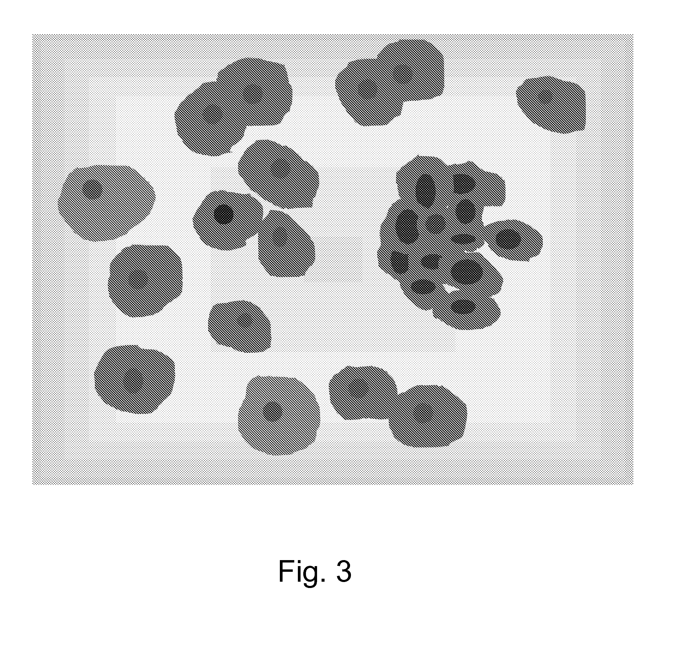 System and method for the detection of abnormalities in a biological sample