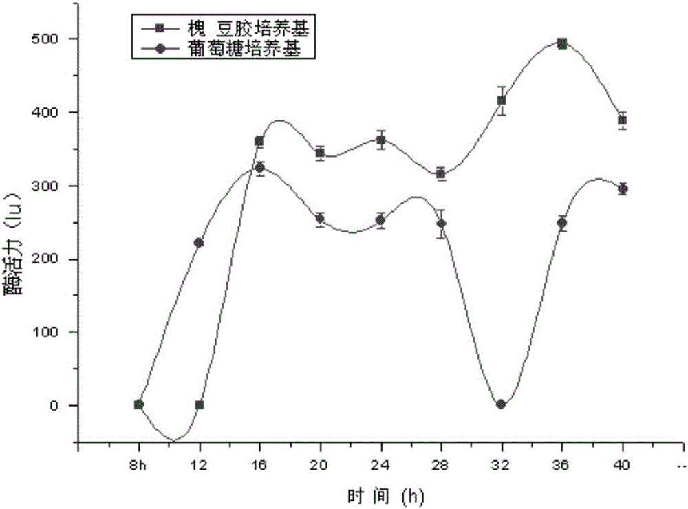 Constitutive mannase producing Bacillus alcalophilus NTT33C6 and application thereof
