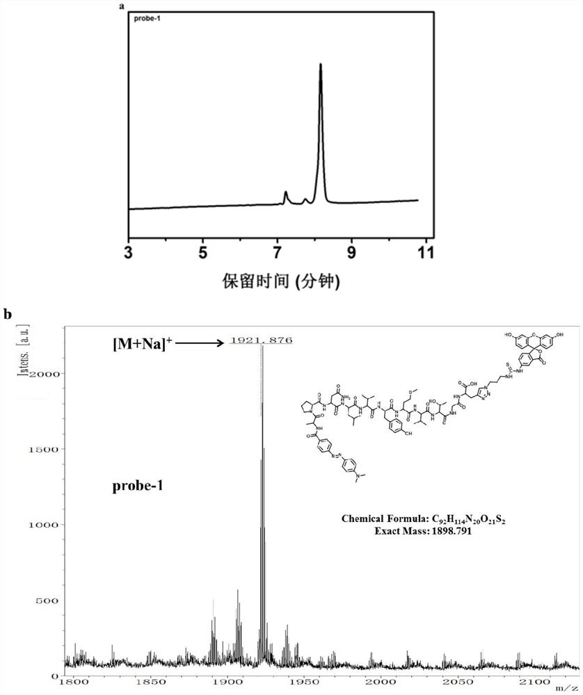 A diagnostic probe for thrombotic thrombocytopenic purpura and its preparation method and application