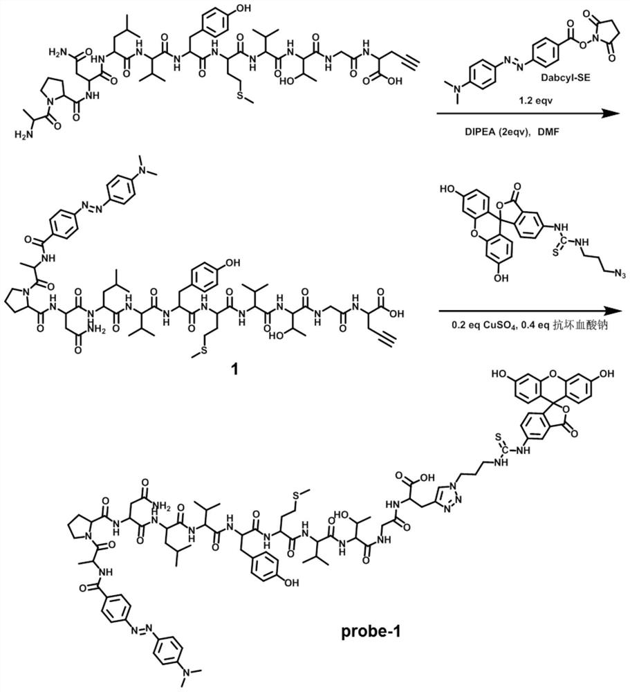 A diagnostic probe for thrombotic thrombocytopenic purpura and its preparation method and application