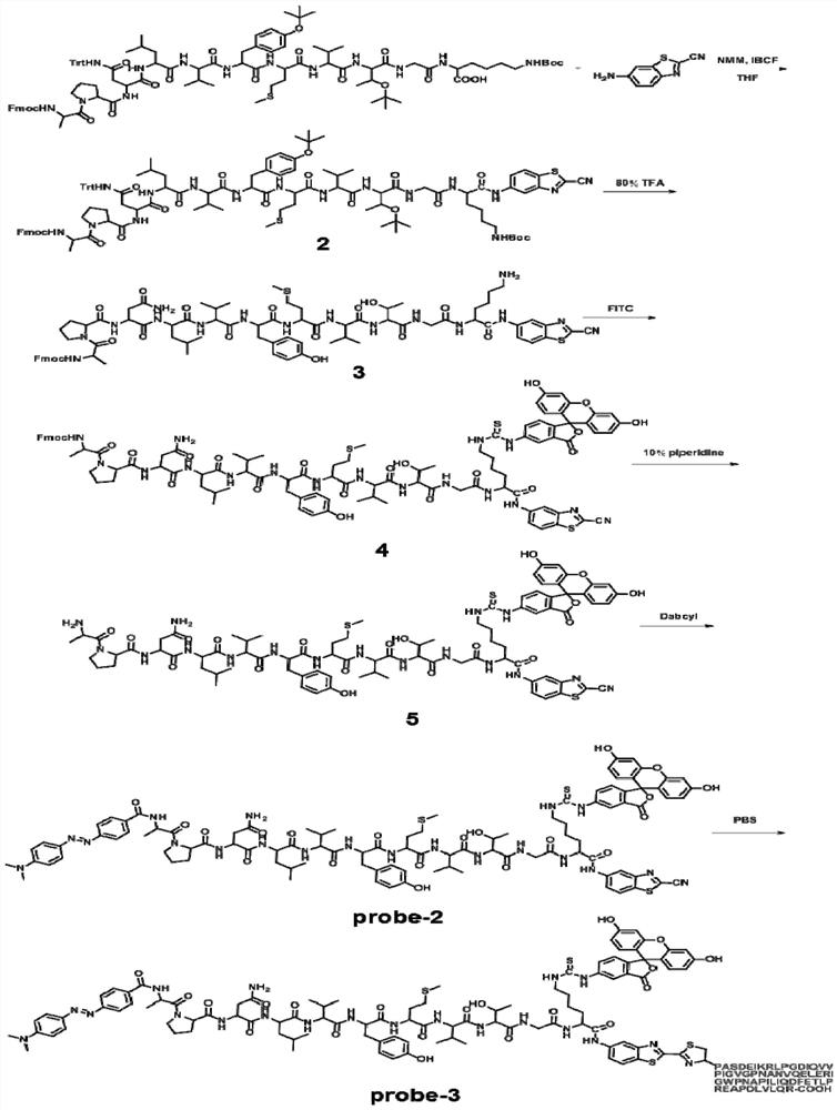 A diagnostic probe for thrombotic thrombocytopenic purpura and its preparation method and application