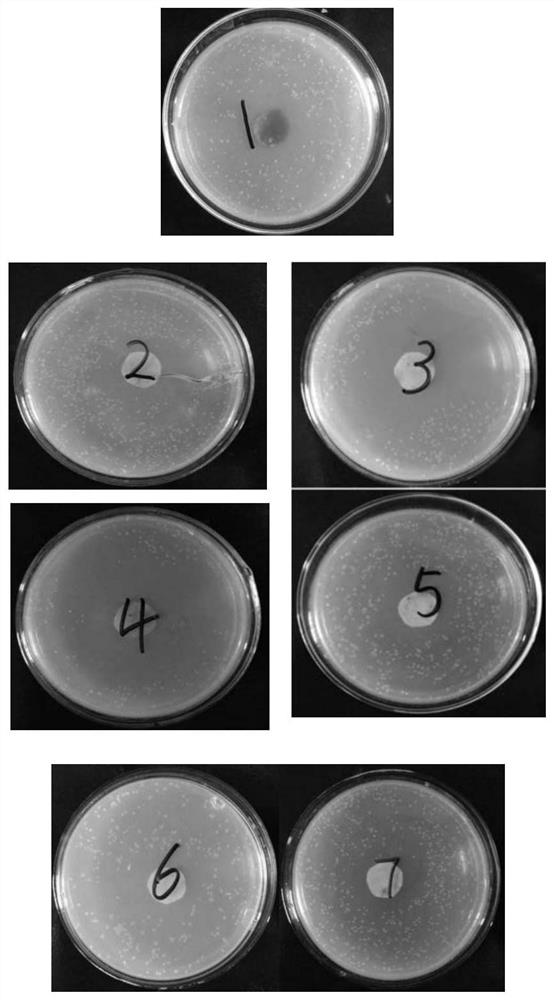Preparation method of antibacterial silver-loaded activated carbon