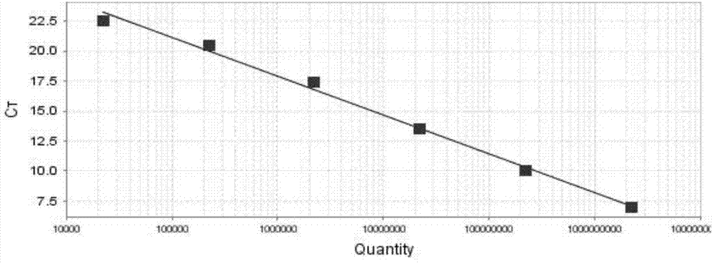 Real-time fluorescent quantitative identification method of Tilletia controversa Kuhn, and kit thereof