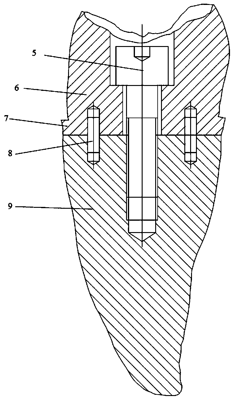 Implant tooth structure based on SLM forming and forming method thereof