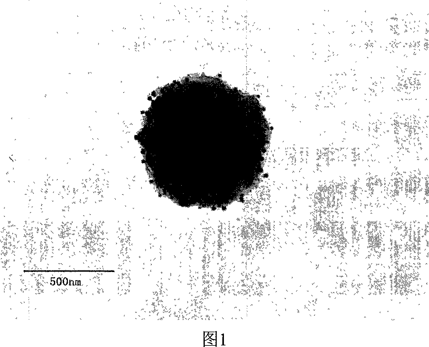 Composite material of Nano grains of silver and carriers of polymer microballons, and preparation method