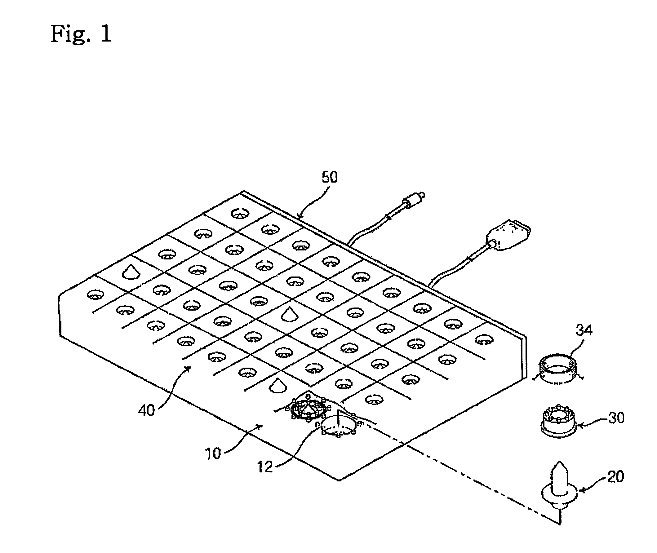 Display device of braille points