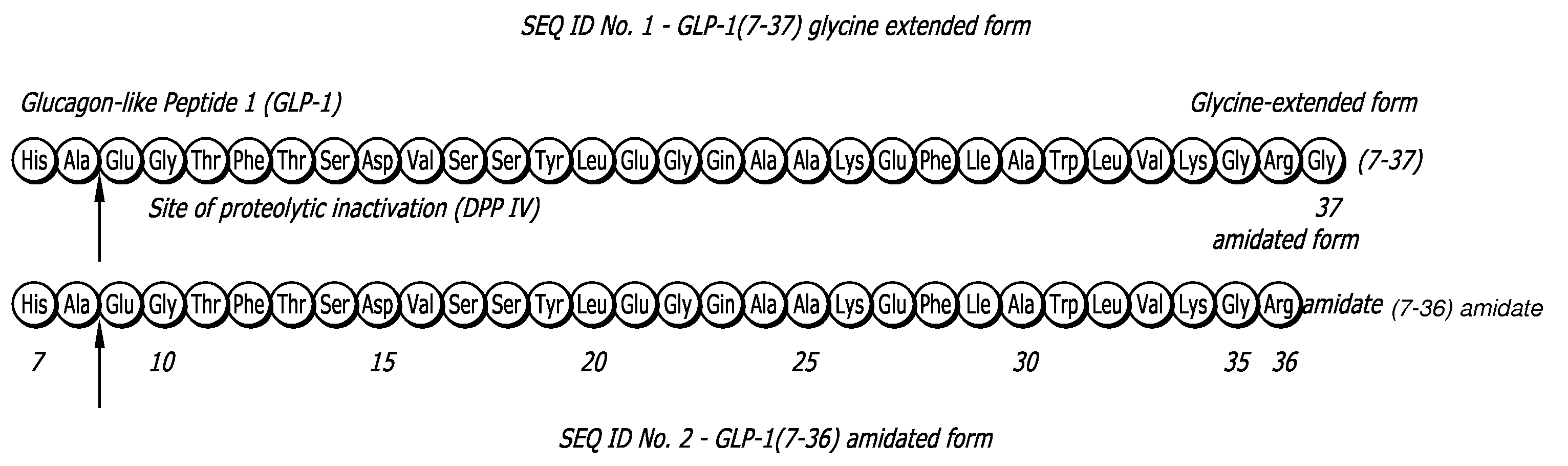 Glucagon-like peptide 1 (glp-1) pharmaceutical formulations