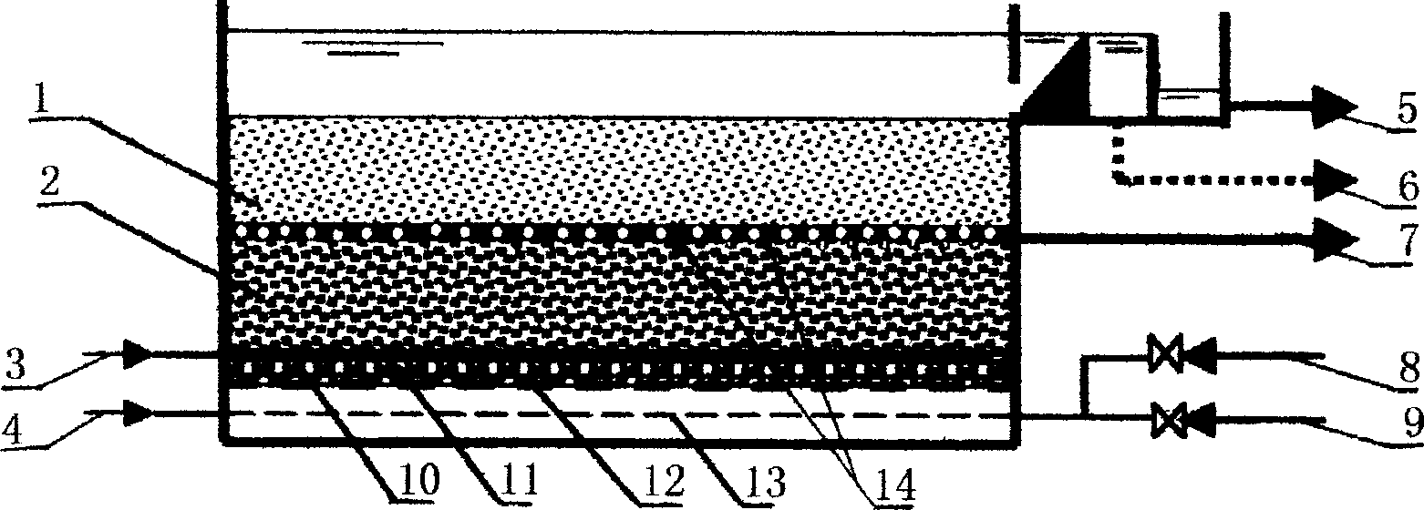 Double-layer filter material biological aeration filter pond