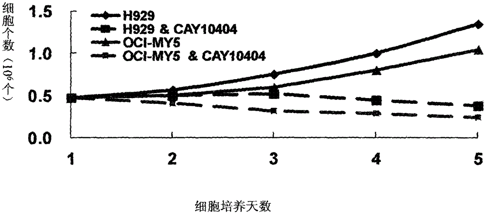 Application of cay10404 in the preparation of multiple myeloma drugs