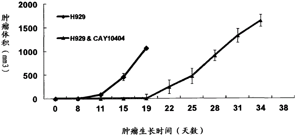 Application of cay10404 in the preparation of multiple myeloma drugs