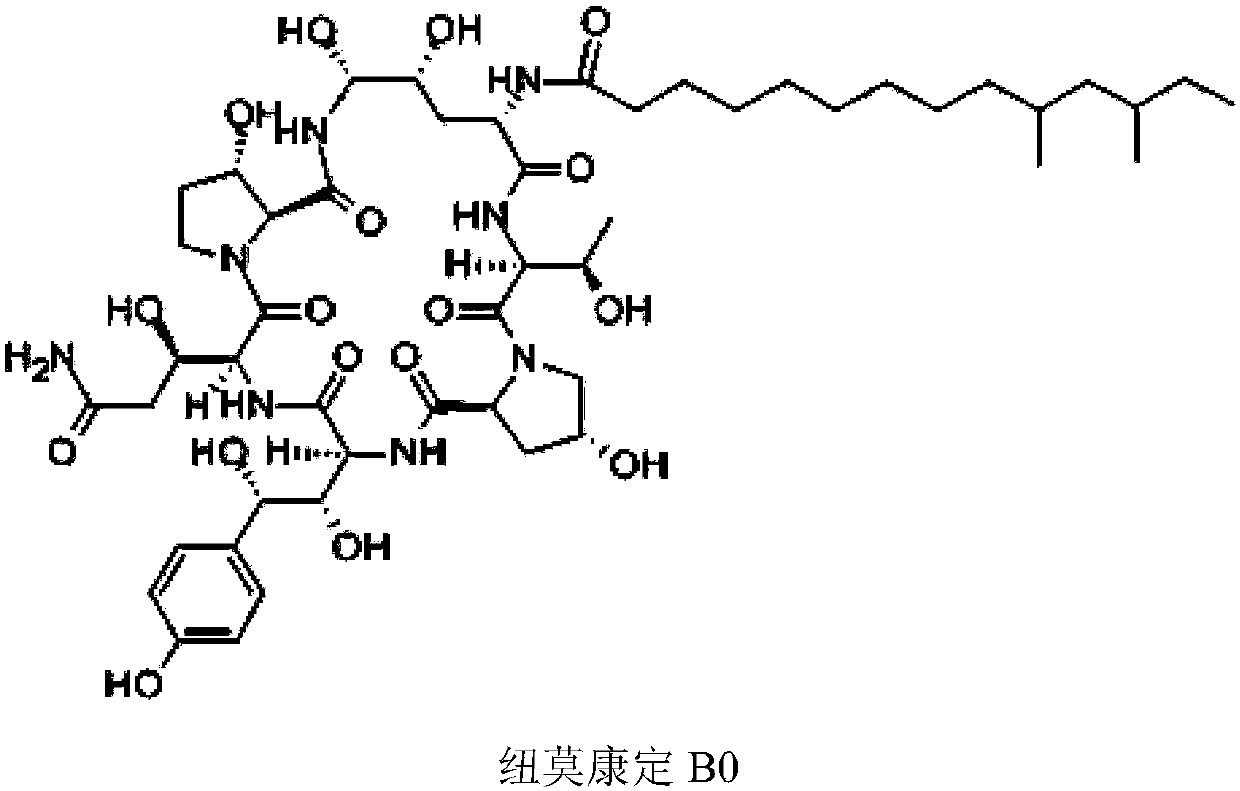 Extraction and purification method of pneumocandins B0