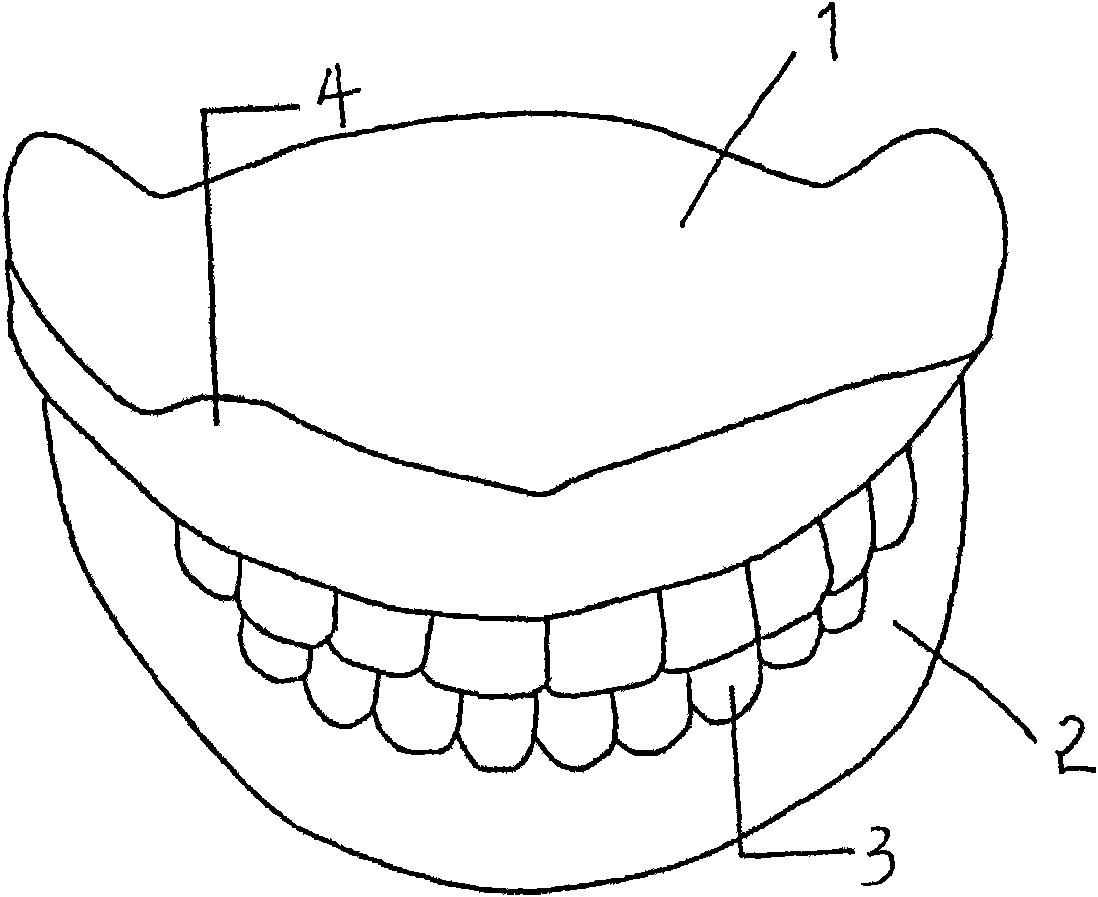Semi-finished complete denture and production method