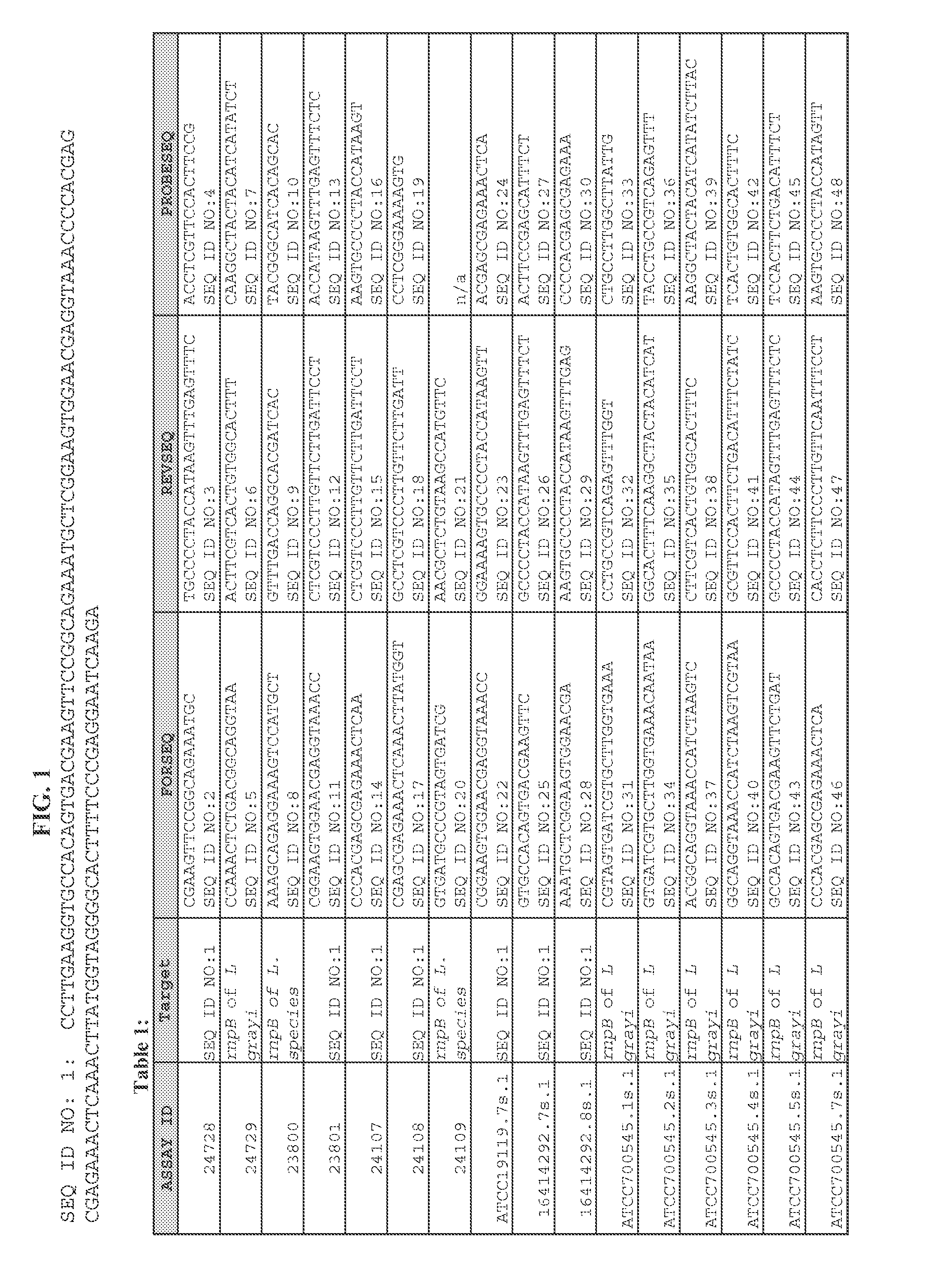 Detection of Listeria species in food and environmental samples, methods and compositions thereof