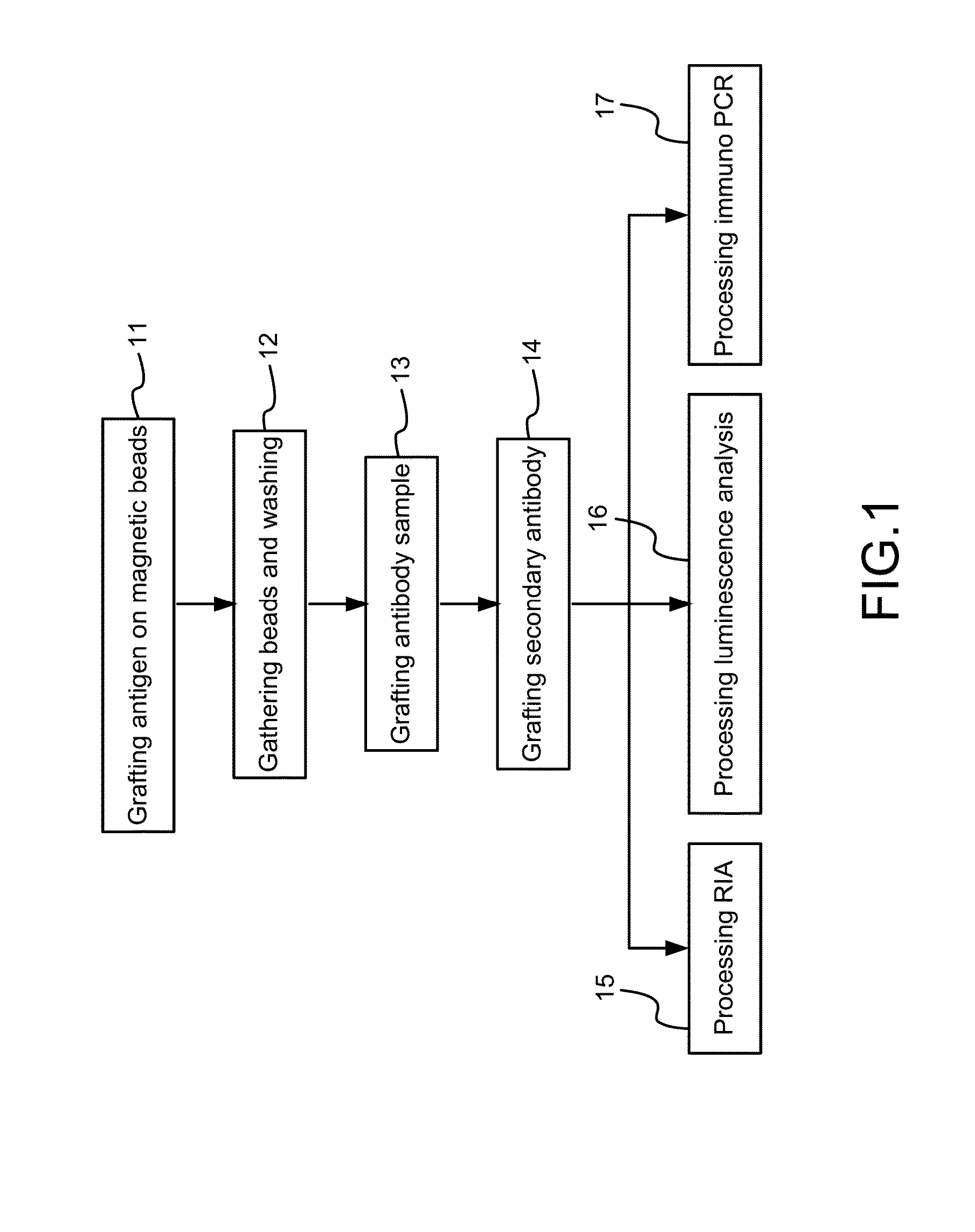 Method of Detection Using Nano Carbon Carrier Modified by Ionizing Radiation