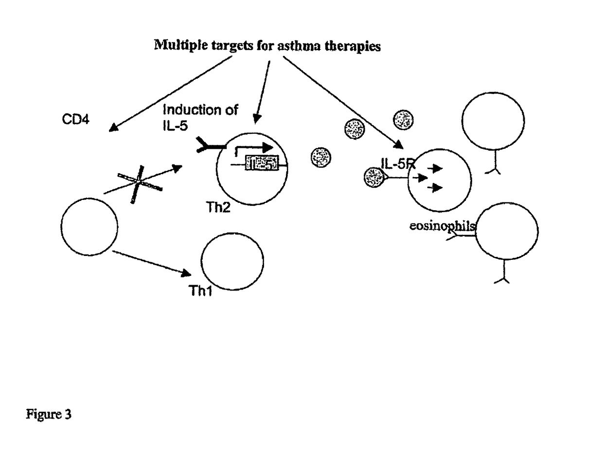 Viral vector