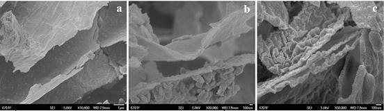 Preparation method and application of silver-titanium dioxide-carbon nano composite material