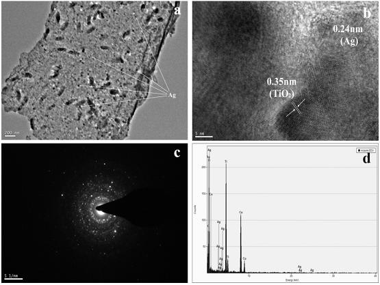 Preparation method and application of silver-titanium dioxide-carbon nano composite material