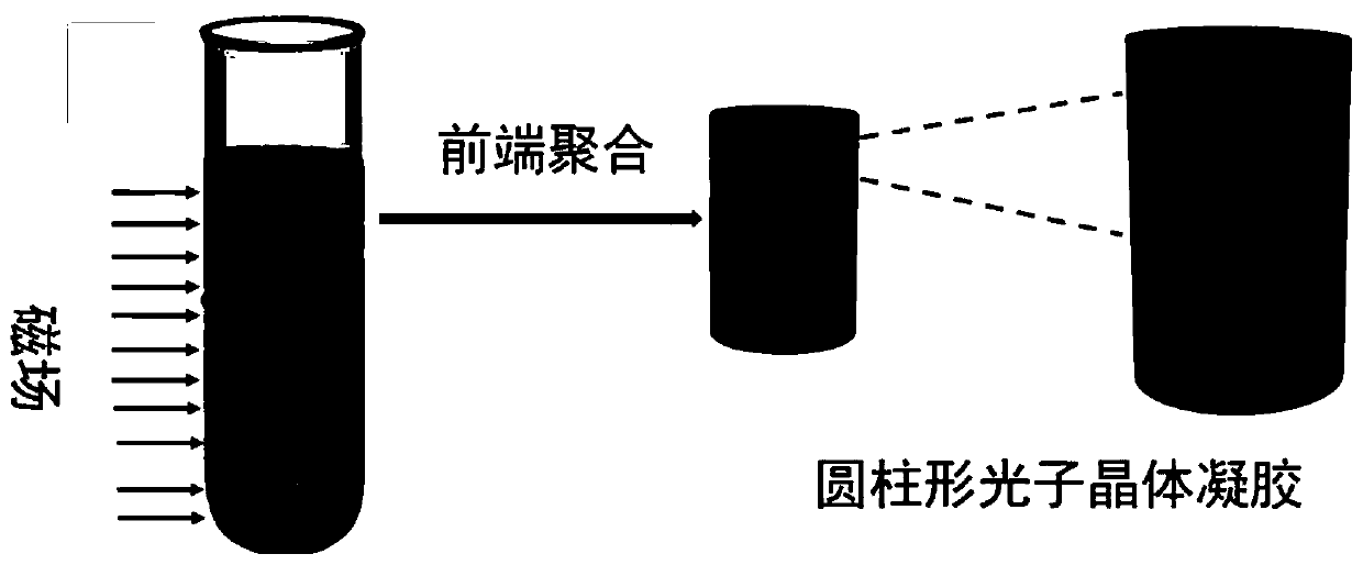 Method for preparing magnetic response photonic crystal gel through front-end polymerization